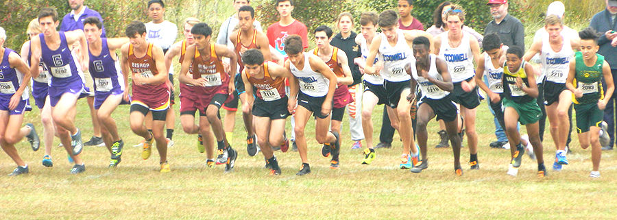O'Connell cross country 3